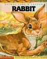 Animal Lore  Legend Rabbit