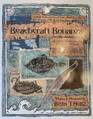 Beachcraft Bonanza