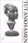 Tutankhamen The Politics of Discovery