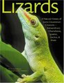 Lizards A Natural History of Some Uncommon Creatures Extraordinary Chameleons Iguanas Geckos and More