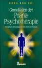 Grundlagen der Prana Psychotherapie Energetische Behandlung von Stre Sucht und Traumata