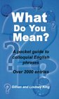 What Do You Mean A Pocket Guide to Colloquial English Phrases  Over 2000 Entries