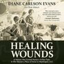 Healing Wounds A Vietnam War Combat Nurse's 10Year Fight to Win Women a Place of Honor in Washington DC