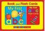 My First Letters Book and Flashcards