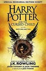 Harry Potter and the Cursed Child Parts 1  2 Special Rehearsal Edition Script