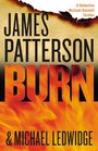 Burn (Michael Bennett Novels)