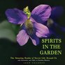 Spirits in the Garden The Amazing Realm of Secret Life Around Us