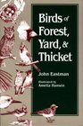 Birds of Forest Yard and Thicket