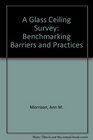 A Glass Ceiling Survey Benchmarking Barriers and Practices
