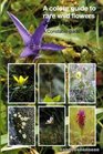 A Colour Guide to Rare Wild Flowers