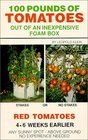 100 Pounds of Tomatoes Out of an Inexpensive Foam Box