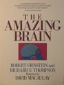 The Amazing Brain