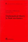 Mathematical Theory in Fluid Mechanics