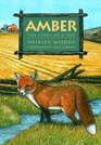 Amber Story Of A Red Fox