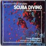 The Complete Scuba Diving Guide