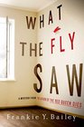 What the Fly Saw: A Mystery (Detective Hannah McCabe)
