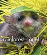 Rainforest Country An Intimate Portrait of Australia's Tropical Rainforest