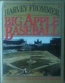 Big Apple Baseball An Illustrated History from the Boroughs to the Ballparks
