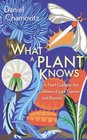 What a Plant Knows A Field Guide to the Senses of Your Garden  and Beyond