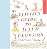 Child's Guide to Wild Flowers