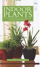 Indoor Plants The Essential Guide to Choosing and Caring for Houseplants