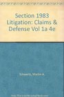 Section 1983 Litigation Claims and Defenses