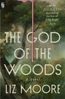 The God of the Woods: A Novel