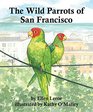 The Wild Parrots of San Francisco