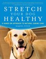 Stretch Your Dog Healthy A HandsOn Approach to Natural Canine Care