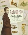 A Victorian Naturalist Beatrix Potter's Drawings from the Armitt Collection