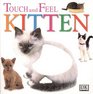 Kitten (Touch and Feel)