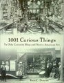 1001 Curious Things Ye Olde Curiosity Shop and Native American Art