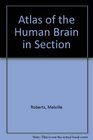 Atlas of the Human Brain in Section