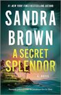 A Secret Splendor A Novel