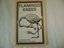 Flamingo Knees