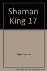 Shaman King 17