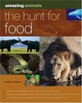 Amazing Animals Hunt for Food