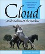 Cloud Wild Stallion of the Rockies