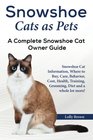Snowshoe Cats as Pets Snowshoe Cat Information Where to Buy Care Behavior Cost Health Training Grooming Diet and a whole lot more A Complete Snowshoe Cat Owner Guide