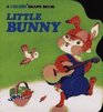 Little Bunny (Chubby Shape Board Books)