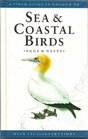 A Field Guide in Colour to Sea and Coastal Birds Eggs and Nests