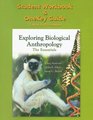 Student Workbook and OneKey Guide for Exploring Biological Anthropology The Essentials
