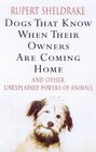 Dogs That Know When Their Owners Are Coming Home and other unexplained powers o