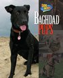 Baghdad Pups