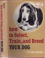 How to Select Train and Breed Your Dog