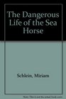 The Dangerous Life of the Sea Horse