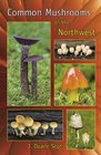 Common Mushrooms of the Northwest Alaska Western Canada  the Northwestern United States