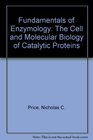Fundamentals of Enzymology The Cell and Molecular Biology of Catalytic Proteins