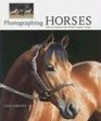 Photographing Horses: How to Capture the Perfect Equine Image