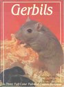 Gerbils